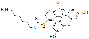CAS#: 77228-88-7， 3-(6-Aminohexyl)-1-(3',6'-Dihydroxy-1-Oxospiro[2-Benzofuran-3,9'-Xanthene]-5-Yl)Thiourea
