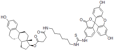CAS#: 78232-36-7， [(8R,9S,13S,14S,17S)-3-Hydroxy-13-Methyl-6,7,8,9,11,12,14,15,16,17-Decahydrocyclopenta[a]Phenanthren-17-Yl] 4-[6-[(3',6'-Dihydroxy-3-Oxospiro[2-Benzofuran-1,9'-Xanthene]-5-Yl)Carbamothioylamino]Hexylamino]-4-Oxobutanoate