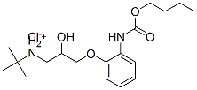 CAS#: 79763-36-3， [3-[2-(Butoxycarbonylamino)Phenoxy]-2-Hydroxypropyl]-Tert-Butylazanium Chloride