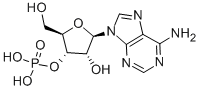 CAS#: 84-21-9， 3'-Adenylic Acid