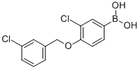 结构式 CAS# 849062-26-6, B-[3-氯-4-[(3-氯苯基)甲氧基]苯基]-硼酸