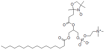 CAS 登录号：85284-79-3， 1-Palmitoyl-2-(4-Doxylpentanoyl)Glycerophosphocholine