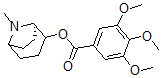 CAS#: 87395-54-8， [1Β,5Β,(+)]-Tropane-2a-Yl 3,4,5-Trimethoxybenzoate