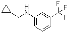 structure of CAS# 887590-43-4, N-(Cyclopropylmethyl)-3-(trifluoromethyl)aniline;BENZENAMINE,N-(CYCLOPROPYLMETHYL)-3-(TRIFLUOROMETHYL)-;CYCLOPROPYLMETHYL-(3-TRIFLUOROMETHYL-PHENYL)-AMINE