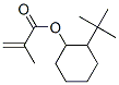CAS#: 94134-45-9， 2-(1,1-Dimethylethyl)Cyclohexyl Methacrylate