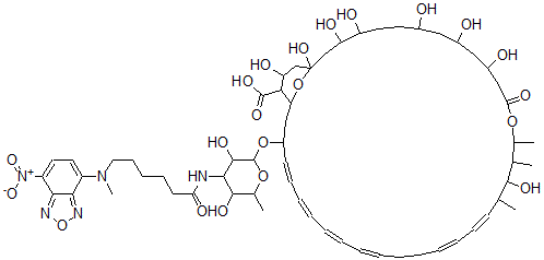 CAS 登录号：96475-98-8， Nbd-Nystatin