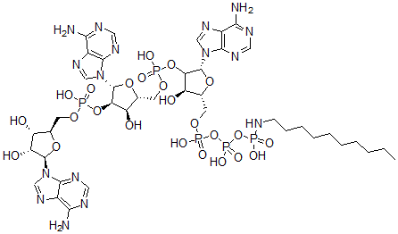 CAS#: 96902-45-3， P(1)-Adenylyl-5'-2'-Adenylyl-5'-2'-Adenosyl-P(3)-N-Decylaminotriphosphate