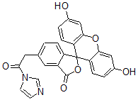 CAS#: 97068-28-5， Fluorescein N-Acetylimidazole