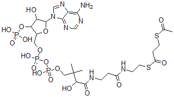 CAS#: 97919-43-2， S-Acetyl-3-Mercaptopropanoyl-Coenzyme A