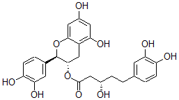 CAS#: 98570-83-3， (-)-beta,3,4-Trihydroxybenzenepentanoic Acid 2-(3,4-Dihydroxyphenyl)-3,4-Dihydro-5,7-Dihydroxy-2H-1-Benzopyran-3-Yl Ester