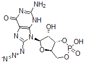 CAS#: 99754-65-1， 8-Azidoguanosine Cyclic Monophosphate