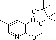 structure of CAS# 1083168-84-6, 2-Methoxy-5-methylpyridine-3-boronic acid pinacol ester;2-Methoxy-5-methyl-3-(4,4,5,5-tetramethyl-1,3,2-dioxaborolan-2-yl)pyridine
