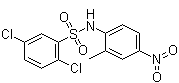 2,5-Dichloro-N-(2-methyl-4-nitrophenyl)benzenesulfonamide molecular structure (CAS 108409-83-2)