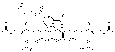 2',7'-Bis(2-carboxyethyl)-5(6)-carboxyfluorescein acetoxymethyl ester molecular structure (CAS 117464-70-7)