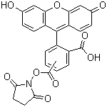5(6)-Carboxyfluorescein N-succinimidyl ester molecular structure (CAS 117548-22-8)
