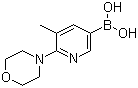 structure of CAS# 1191062-85-7, B-[5-Methyl-6-(4-morpholinyl)-3-pyridinyl]boronic acid