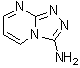 1,2,4-Triazolo[4,3-a]pyrimidin-3-amine molecular structure (CAS 1195625-75-2)