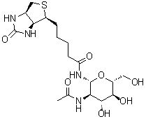 structure of CAS# 1272755-69-7, 2-Acetamido-2-deoxy-beta-D-glucopyranosylaminobiotin;2-Acetamido-N-biotinyl-2-deoxy-beta-D-glucopyranosylamine; N-GlcNAc-Biotin