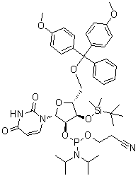 5'-O-[Bis(4-methoxyphenyl)phenylmethyl]-3'-O-[(1,1-dimethylethyl)dimethylsilyl]-Uridine 2'-[2-cyanoethyl N,N-bis(1-methylethyl)phosphoramidite] molecular structure (CAS 129451-77-0)
