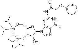 structure of CAS# 131474-72-1, N-(Phenoxyacetyl)-3',5'-O-[1,1,3,3-tetrakis(1-methylethyl)-1,3-disiloxanediyl]guanosine