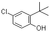 2-tert-Butyl-4-chlorophenol molecular structure (CAS 13395-85-2)