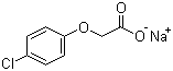 Sodium 4-chlorophenoxyacetate molecular structure (CAS 13730-98-8)