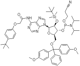structure of CAS# 149989-64-0, 5'-O-(4,4-Dimethoxytrityl)-2'-O-[(tert-butyl)dimethylsilyl]-N-[[4-(tert-butyl)phenoxy]acetyl]adenosine-3'-(2-cyanoethyl-N,N-diisopropyl)phosphoramidite;5'-O-DMT-2'-TBDMS-rA(N-tac)-3'-CEDPA
