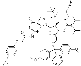 结构式 CAS# 149989-68-4, 5'-O-(4,4-二甲氧基三苯甲基)-2'-O-[(叔丁基)二甲基硅基]-N-[[4-(叔丁基)苯氧基]乙酰基]鸟苷-3'-(2-氰基乙基-N,N-二异丙基)亚磷酰胺