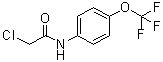 结构式 CAS# 161290-85-3, 2-氯-N-(4-三氟甲氧基苯基)乙酰胺