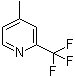 4-Methyl-2-(trifluoromethyl)pyridine molecular structure (CAS 1620-79-7)