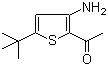 2-乙酰基-3-氨基-5-叔丁基噻吩分子结构 (CAS 175137-06-1)