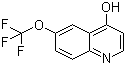 4-羟基-6-(三氟甲氧基)喹啉分子结构 (CAS 175203-87-9)