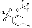 4-Bromo-2-trifluoromethoxyphenylsulfonyl chloride molecular structure (CAS 175278-14-5)