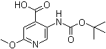 5-(tert-Butoxycarbonylamino)-2-methoxypyridine-4-carboxylic acid molecular structure (CAS 183741-86-8)