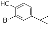 结构式 CAS# 2198-66-5, 2-溴-4-叔丁基苯酚