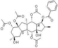 (1S,2S,3aR,4R,4aS,4bS,6R,8S,8aS,9aR,10R,10aR)-Dodecahydro-2,4a,6,9a-tetramethylcyclopenta[b]fluorene-1,3a,4,6,8,8a,10(1H,4H)-heptol 4,8,8a,10-tetraacetate 1-benzoate molecular structure (CAS 219916-77-5)