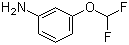 3-(Difluoromethoxy)aniline molecular structure (CAS 22236-08-4)