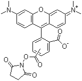 5(6)-Carboxytetramethylrhodamine succinimidyl ester  molecular structure (CAS 246256-50-8)