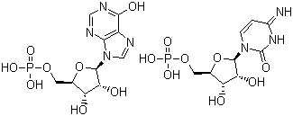 结构式 CAS# 24939-03-5, 聚胞苷酸