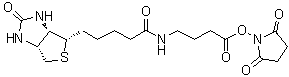 (3aS,4S,6aR)-N-[4-[(2,5-Dioxo-1-pyrrolidinyl)oxy]-4-oxobutyl]hexahydro-2-oxo-1H-thieno[3,4-d]imidazole-4-pentanamide molecular structure (CAS 258289-54-2)