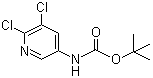 结构式 CAS# 275383-96-5, (5,6-二氯吡啶-3-基)氨基甲酸叔丁酯