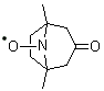 1,5-Dimethyl-3-oxo-8-azabicyclo[3.2.1]oct-8-yloxy molecular structure (CAS 34061-60-4)