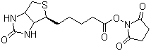 structure of CAS# 35013-72-0, (+)-Biotin N-hydroxysuccinimide ester