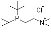 2-[双(叔丁基)膦]-N,N,N-三甲基乙基氯化铵分子结构 (CAS 360577-23-7)
