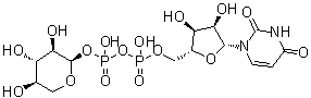 二磷酸尿苷木糖分子结构 (CAS 3616-06-6)
