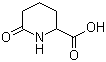 结构式 CAS# 3770-22-7, 6-氧代哌啶-2-甲酸