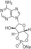 结构式 CAS# 37839-81-9, 腺苷-3',5'-环磷酸酯钠