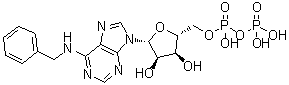 N-(Phenylmethyl)adenosine 5'-(trihydrogen diphosphate) molecular structure (CAS 40811-89-0)