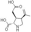 alpha-Kainic acid molecular structure (CAS 487-79-6)