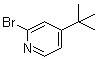 2-溴-4-叔丁基吡啶分子结构 (CAS 50488-34-1)